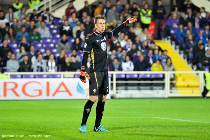 Neto