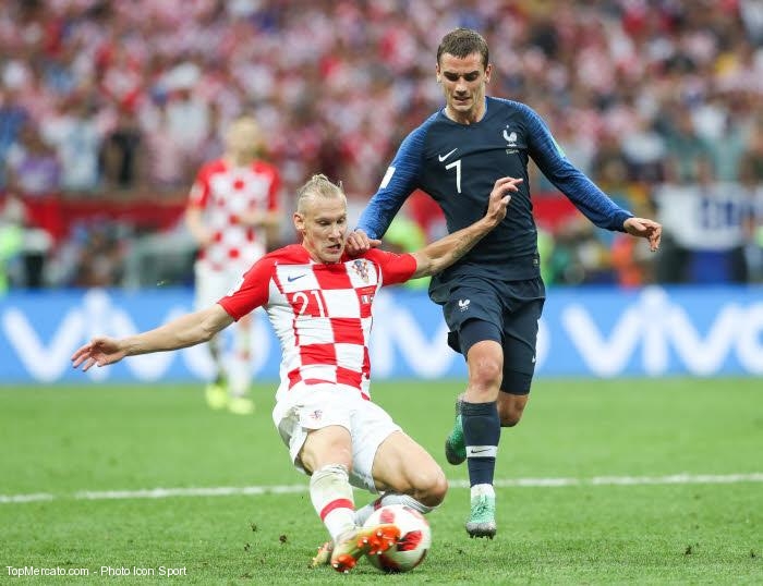 Domagoj Vida