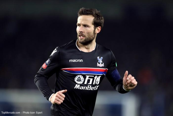 Yohan Cabaye