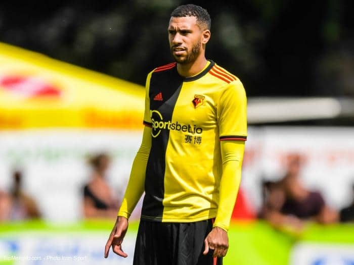 Etienne Capoue
