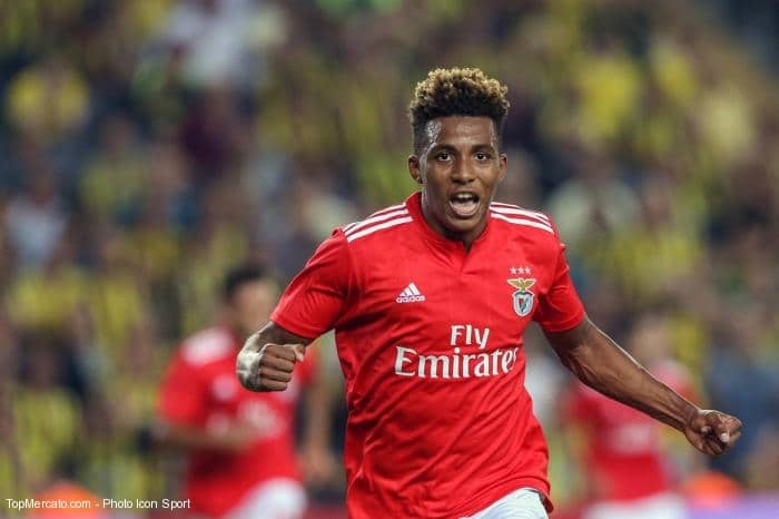 Gedson Fernandes