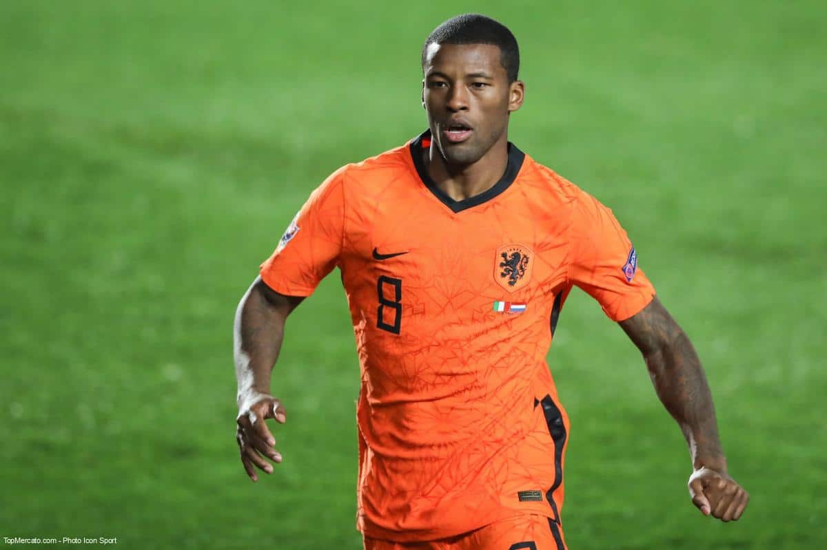 Georginio Wijnaldum, Pays-Bas
