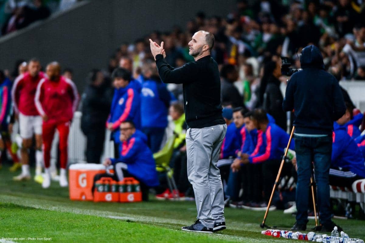 Djamel Belmadi, Algérie