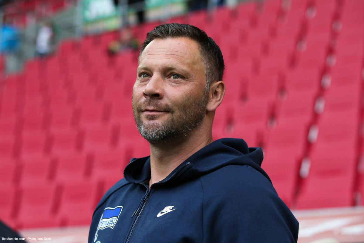 Pal Dardai, Hertha Berlin