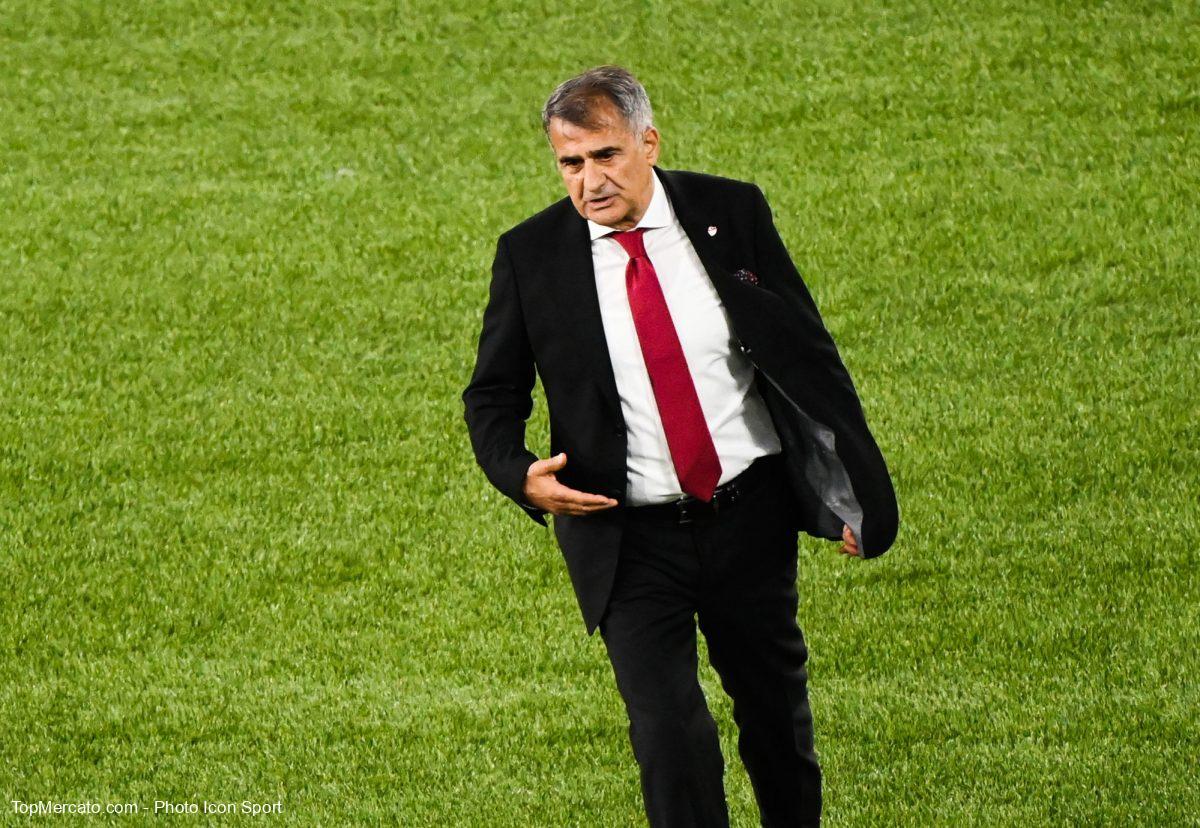 Senol Gunes, Turquie