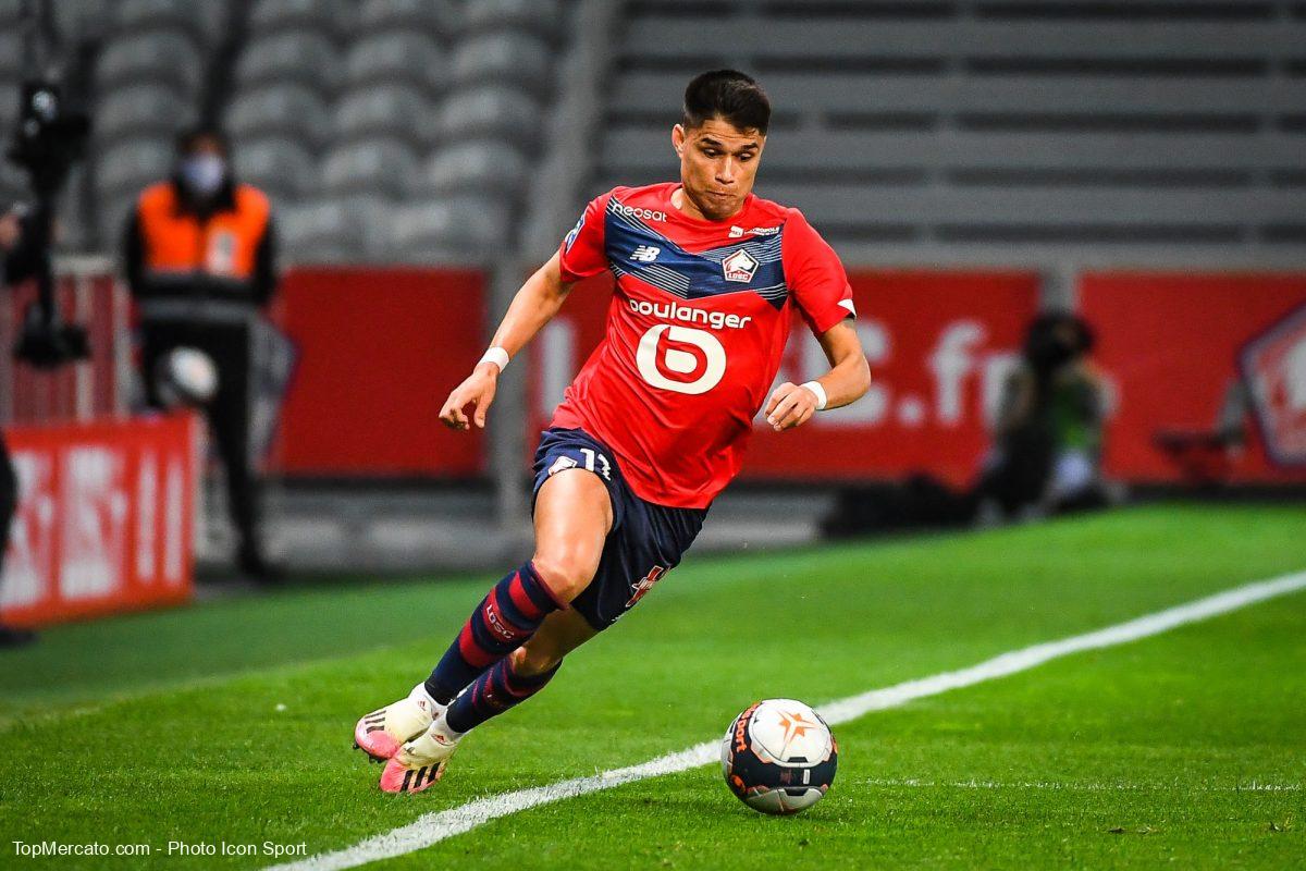 Luiz Araujo, LOSC