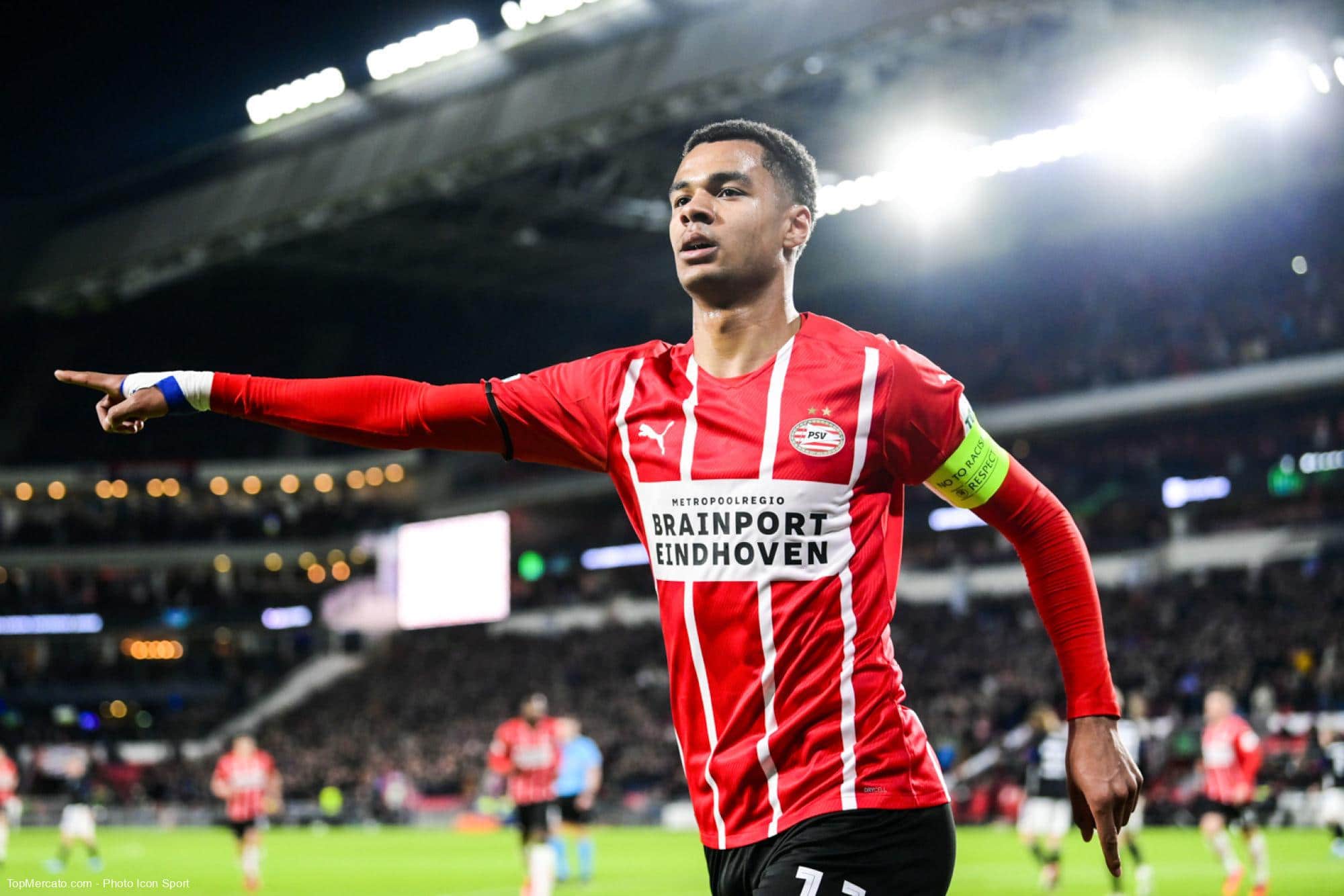Cody Gakpo, PSV Eindhoven