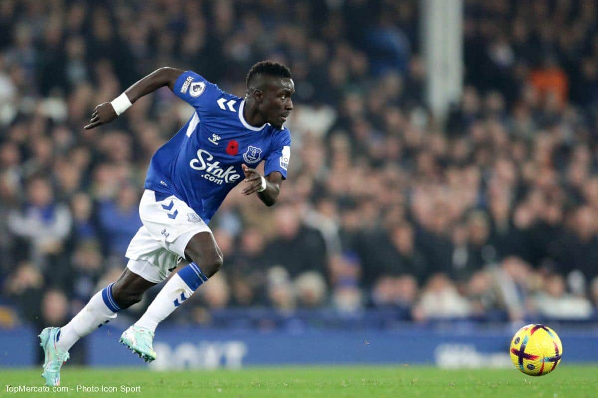 Idrissa Gueye, Everton