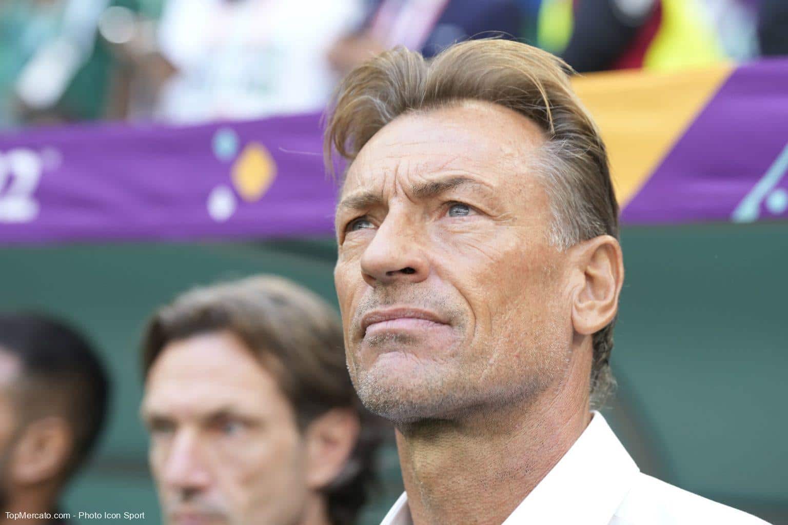 Officiel Mercato - Equipe de France (F) : c’est confirmé pour Hervé Renard !
