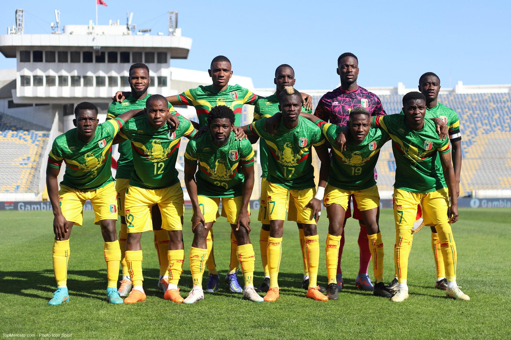 Quels oiseaux surnomment les joueurs de l’équipe nationale du Mali ?