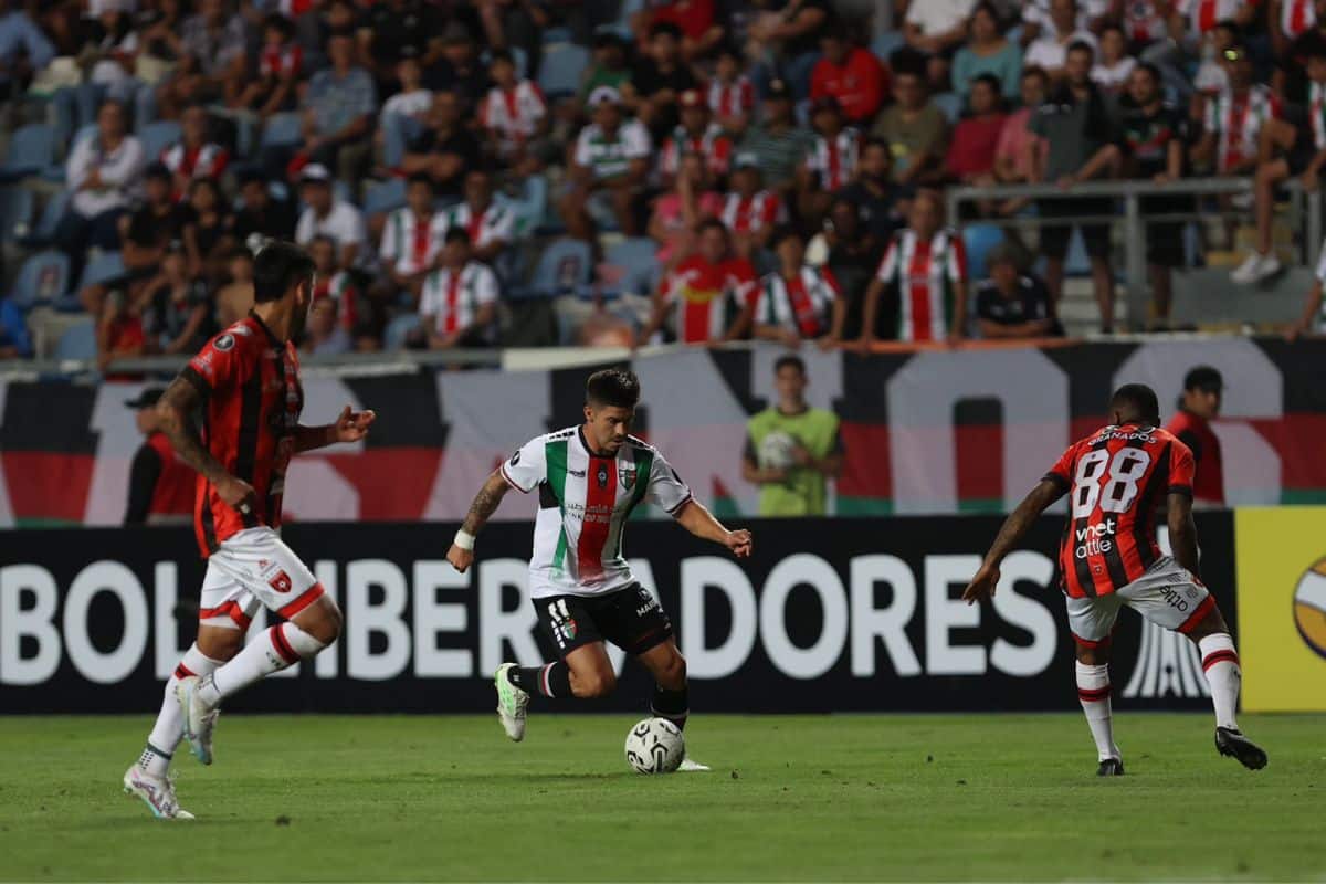 Palestino