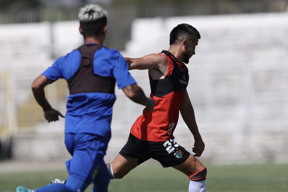Palestino