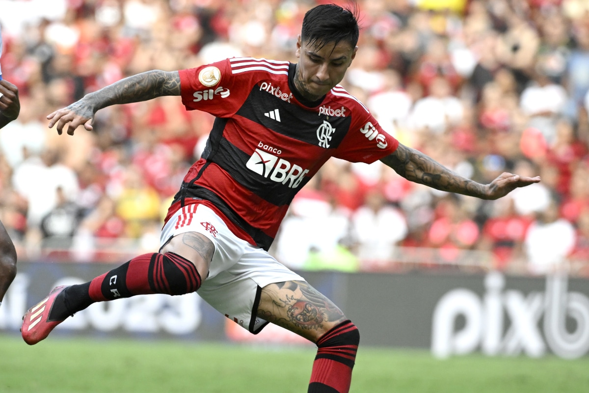 Erick Pulgar