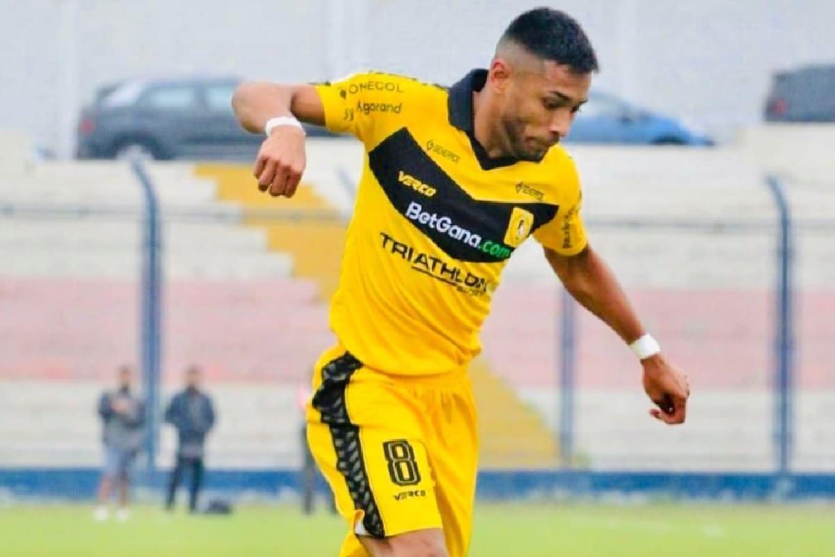 darrigo