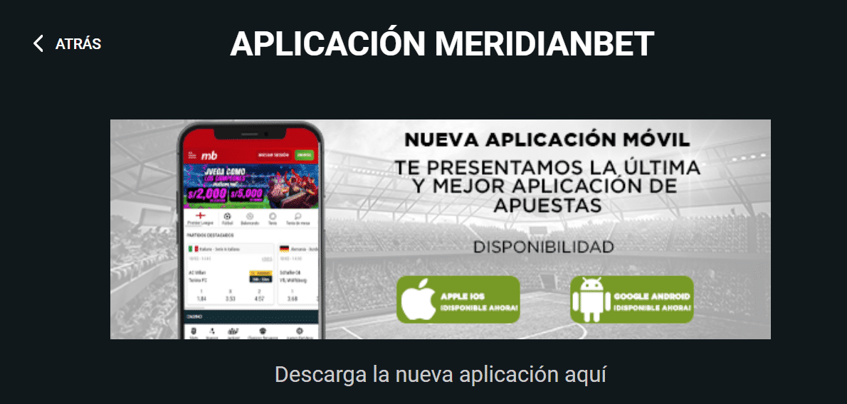 app meridianbet