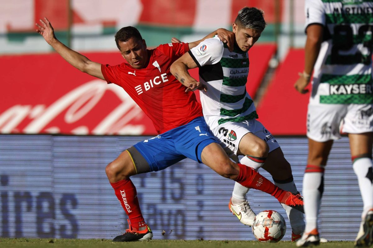Universidad Católica - Palestino