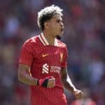 Liverpool regarde bien du côté de la Ligue 1 pour le remplaçant de Luis Diaz