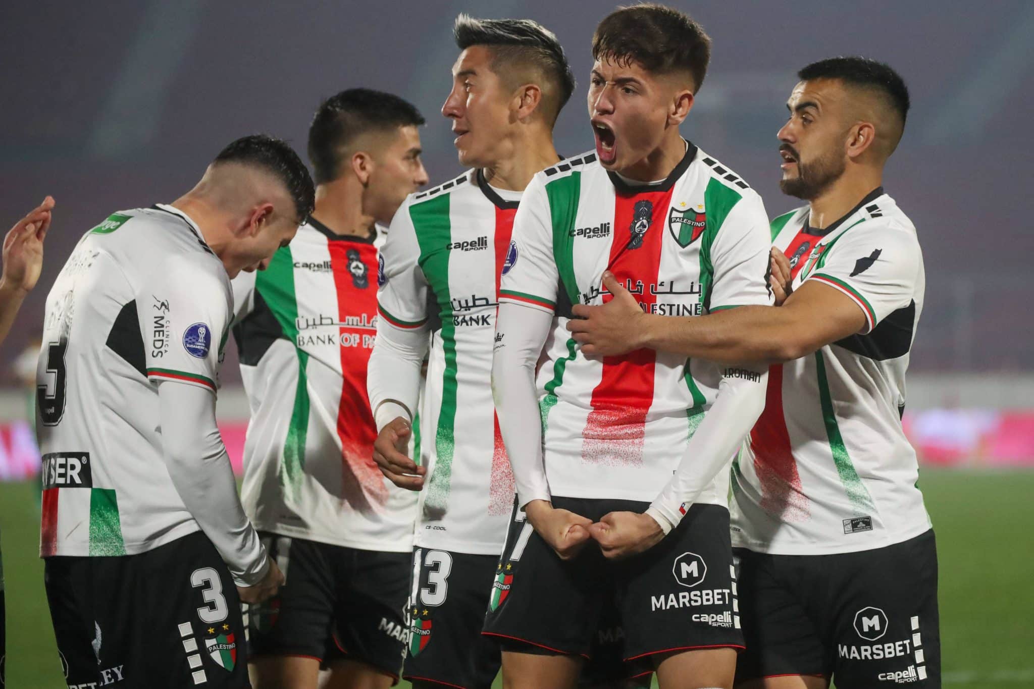 Palestino