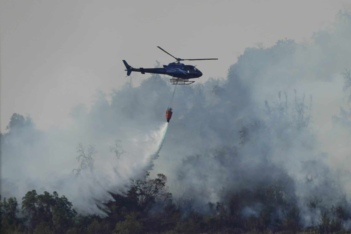Incendios forestales