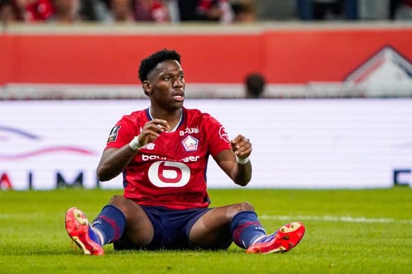 LOSC : 25 M¬ à débourser pour le successeur de Jonathan David ?