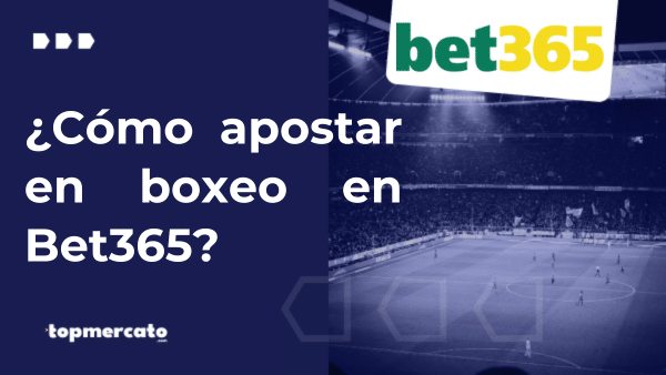 ¿Cómo apostar en boxeo en Bet365 Argentina?