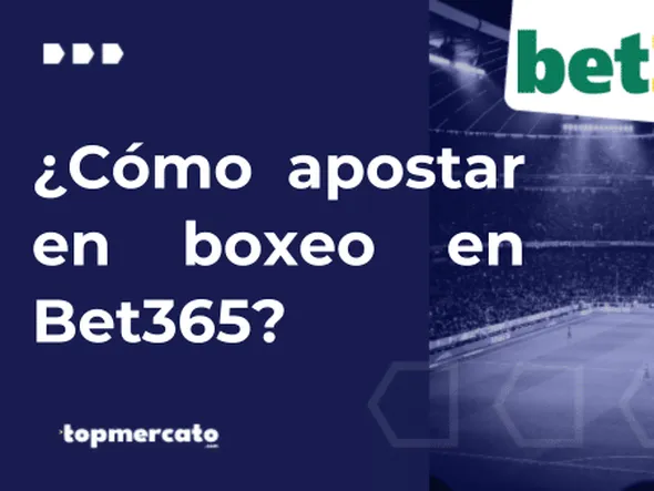 ¿Cómo apostar en boxeo en Bet365 Argentina?