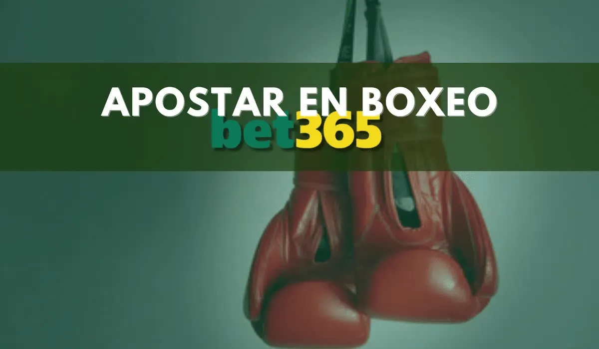 Cómo apostar en boxeo en Bet365