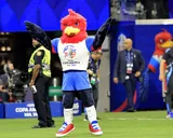 Una por una: Todas las mascotas de la COPA AMÉRICA