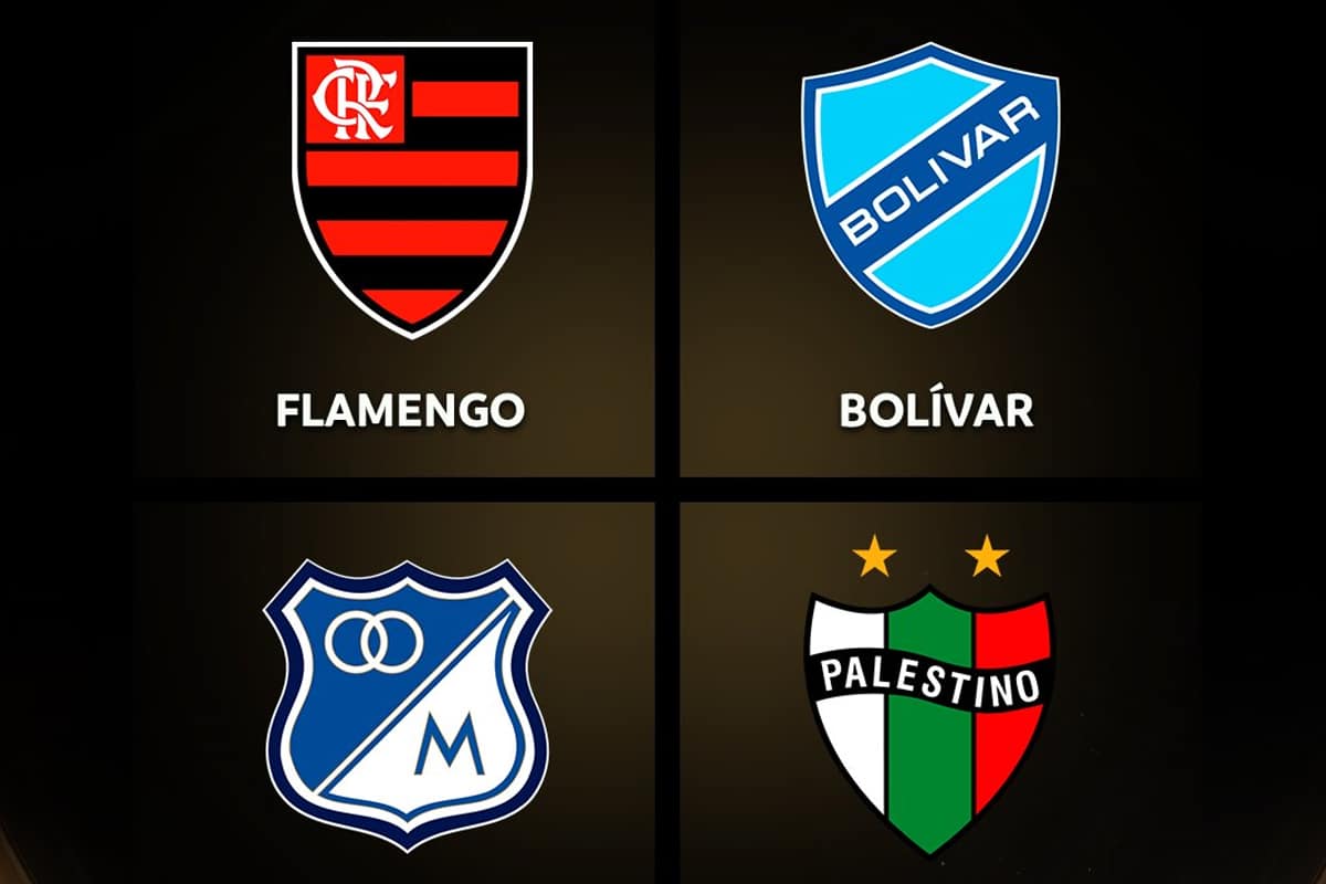 Mercado de pases: así se reforzaron los rivales de Palestino en la Copa Libertadores