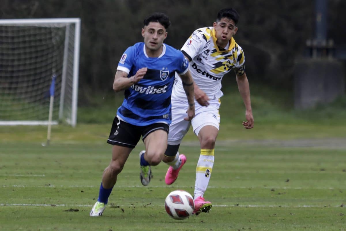 Huachipato Javier Altamirano