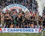 ¿Cuánto dinero gana el campeón de la Primera División de Chile?