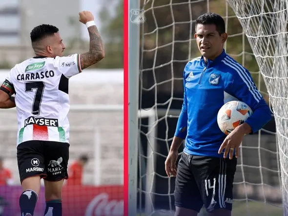 Palestino vs Millonarios: a qué hora juegan, dónde ver, formaciones e historial