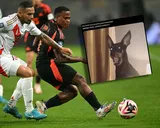 Los mejores memes por el empate de Perú ante Colombia en las Eliminatorias