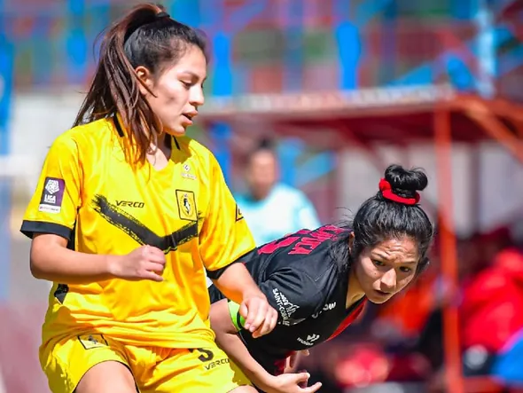 Liga Femenina: ¿qué clubes se fueron al descenso este 2024?