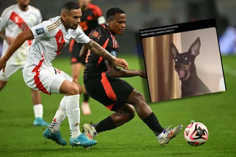Los mejores memes por el empate de Perú ante Colombia en las Eliminatorias
