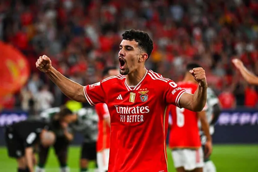 Tomás Araújo, Benfica
