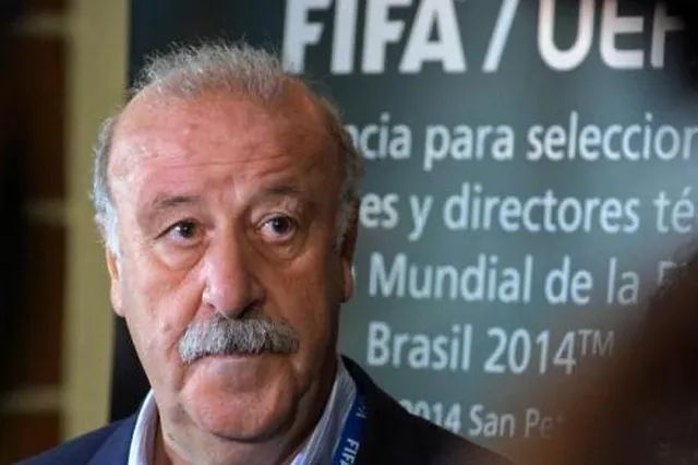 Espagne : Del Bosque s’exprime sur Diego Costa