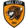 Logo Hull City