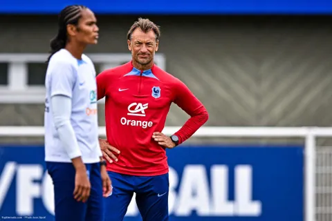 EdF (F) : Renard enrage contre l’arbitrage après l’élimination