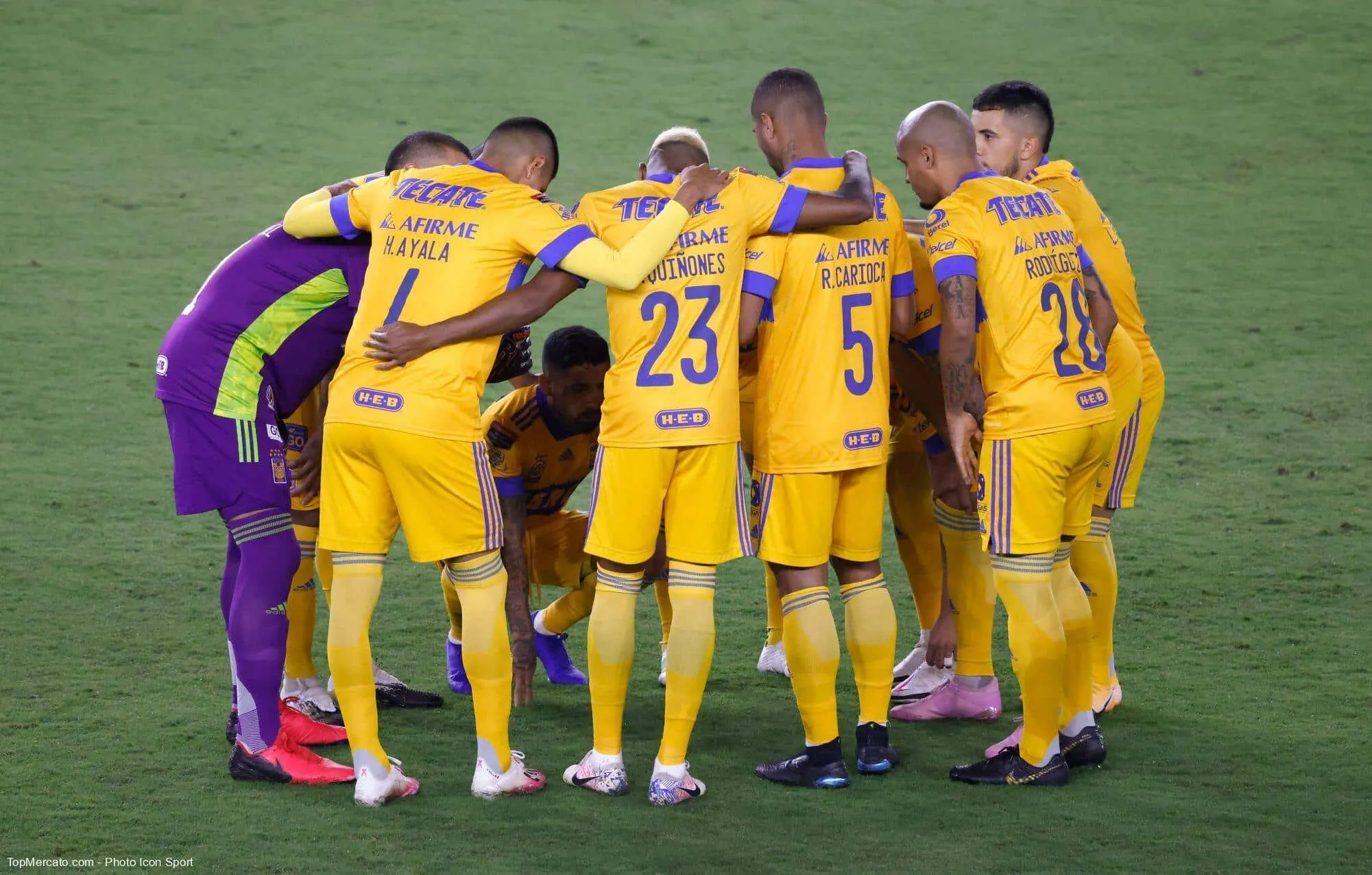 Lequel de ces Français n’a JAMAIS évolué dans le club mexicain des Tigres UANL ?