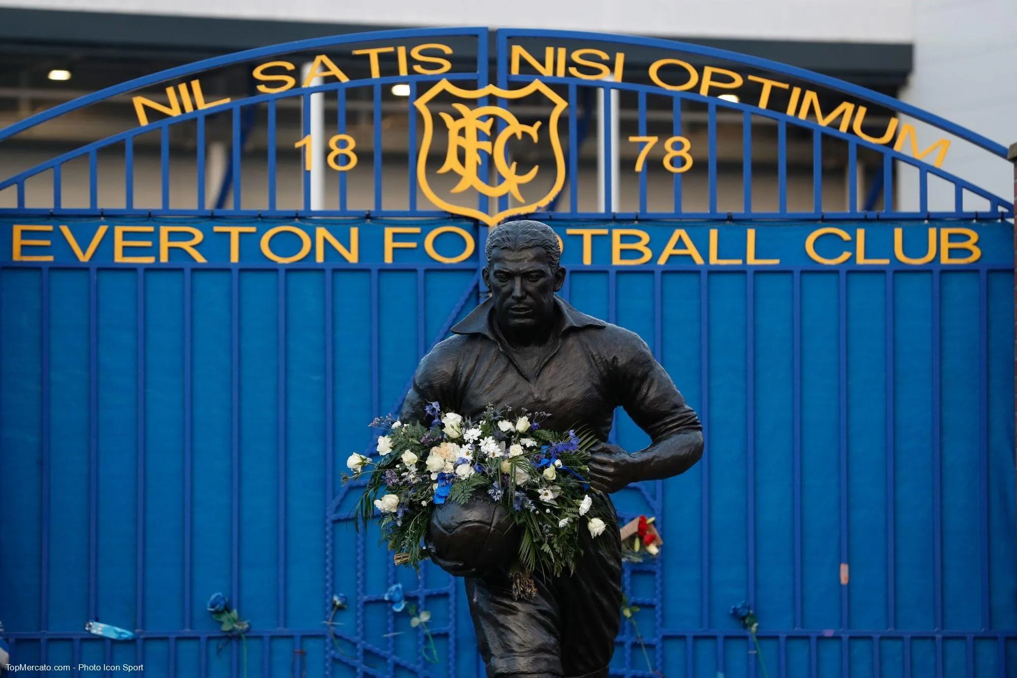 Everton, illustration, Toffees