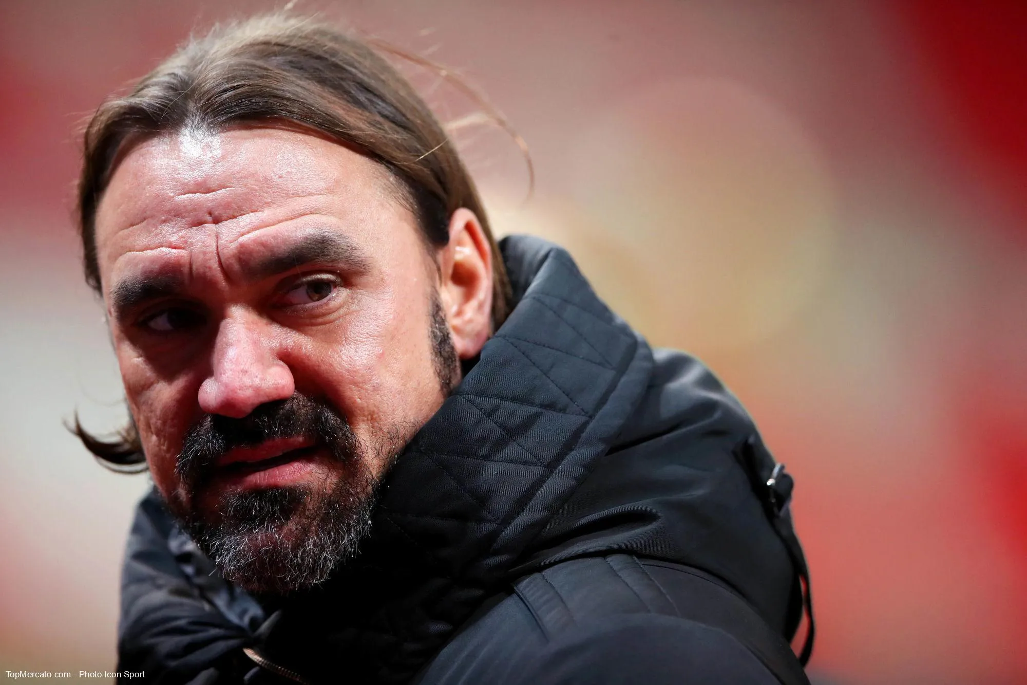 Daniel Farke, Norwich City