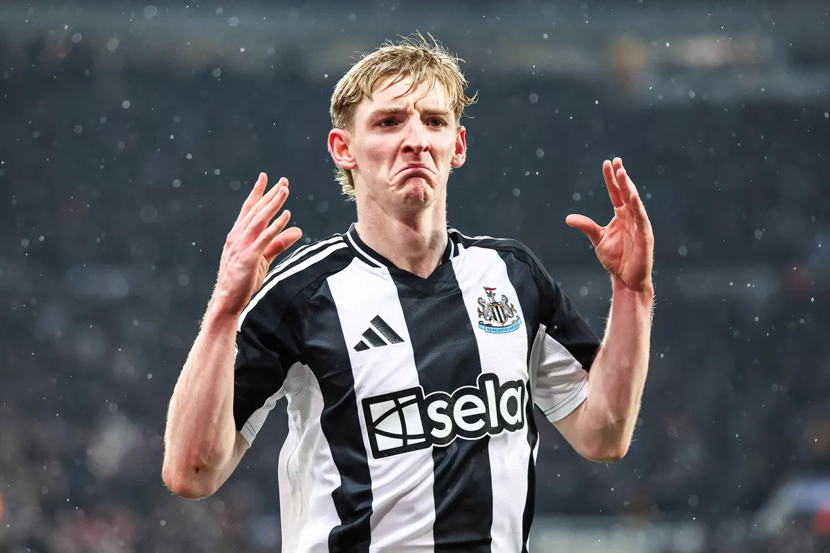 Anthony Gordon Newcastle