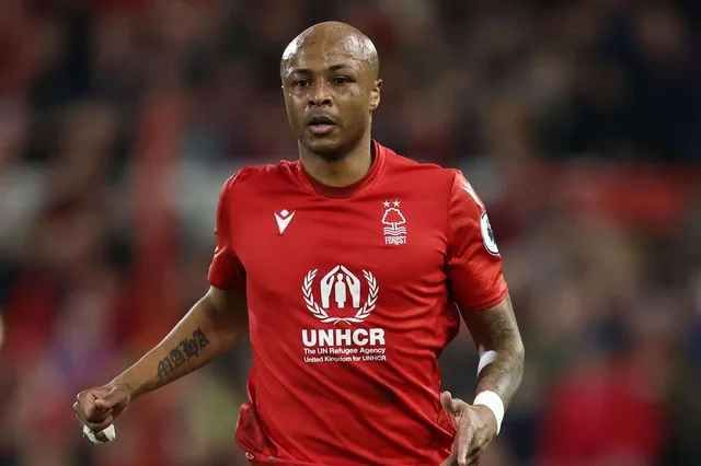 OM : comme André Ayew, ces anciens Marseillais ont fait leur come-back en L1 (Quiz)