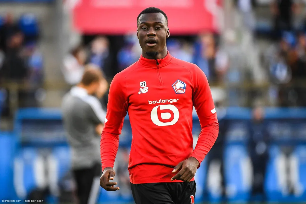 Cheikh Niasse, Lille, LOSC