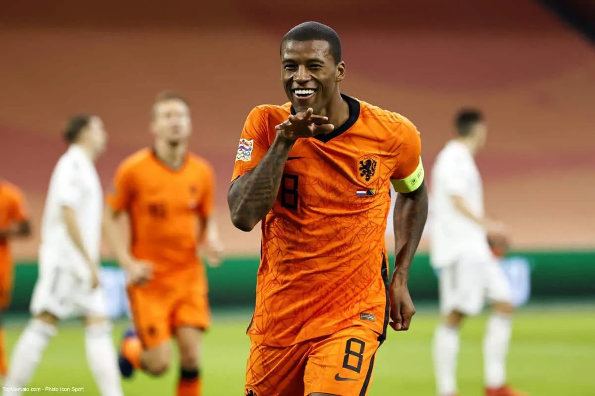 Georginio Wijnaldum, Pays-Bas