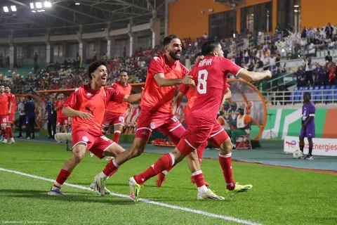 Match Afrique du Sud – Tunisie : chaîne TV et compos probables