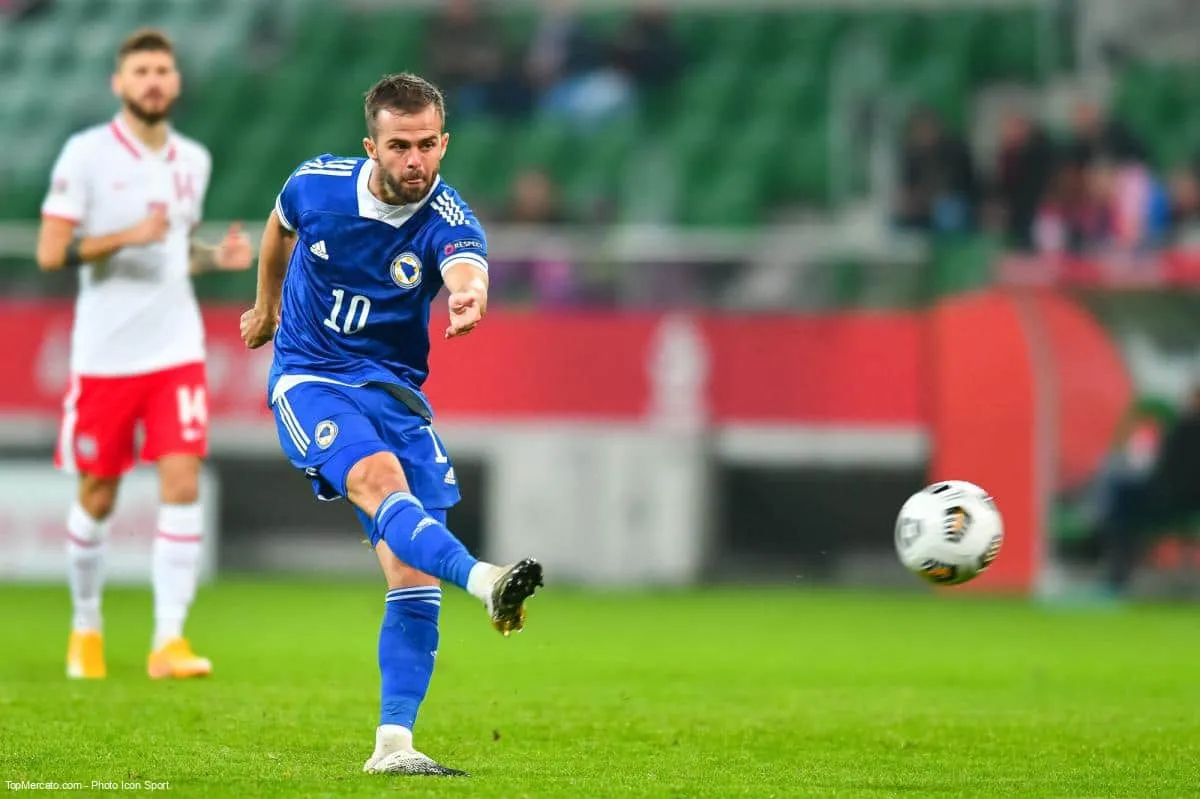 Miralem Pjanic, Serbie
