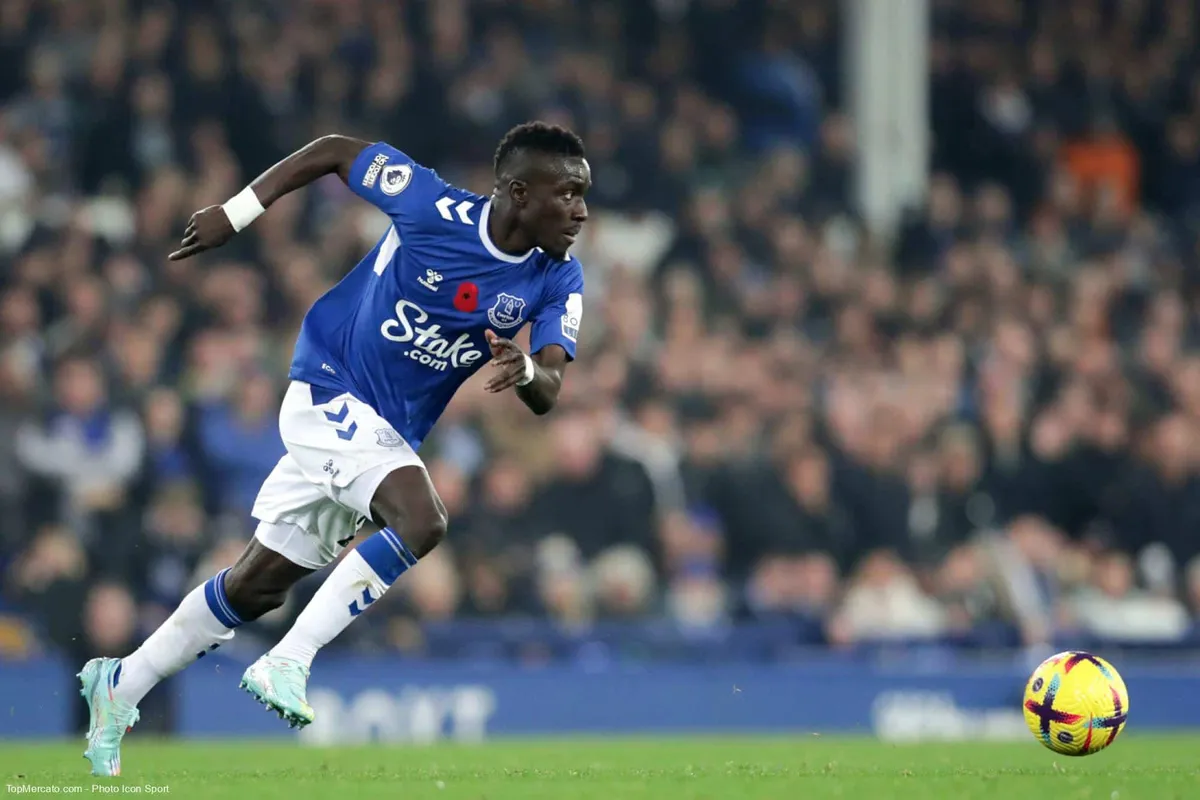 Idrissa Gueye, Everton