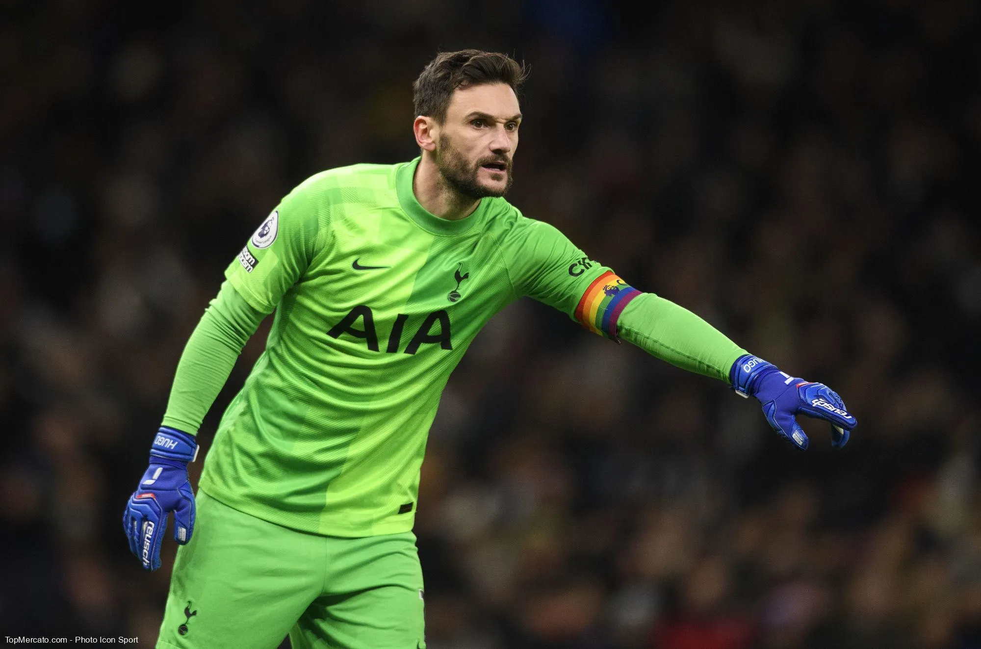 Hugo Lloris, Tottenham